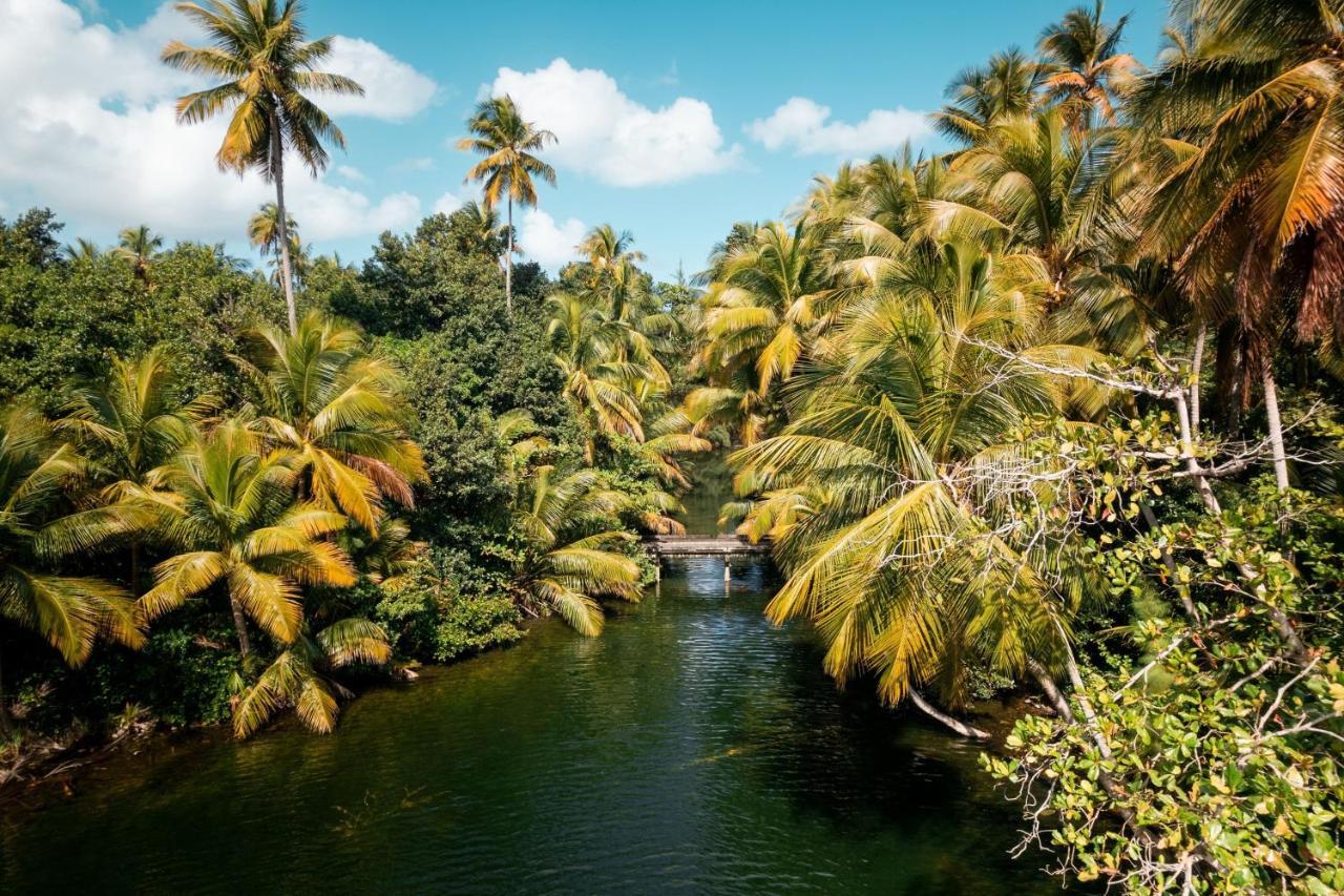 St. Regis Bahia Beach Resort, Puerto Rico Río Grande Eksteriør billede